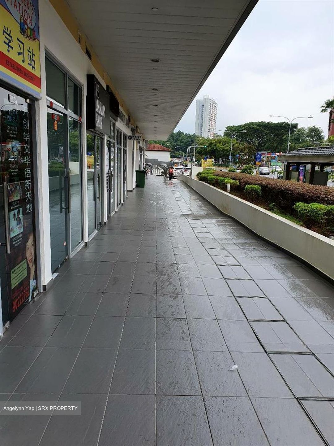 Suites @ Bukit Timah (D21), Shop House #464190121